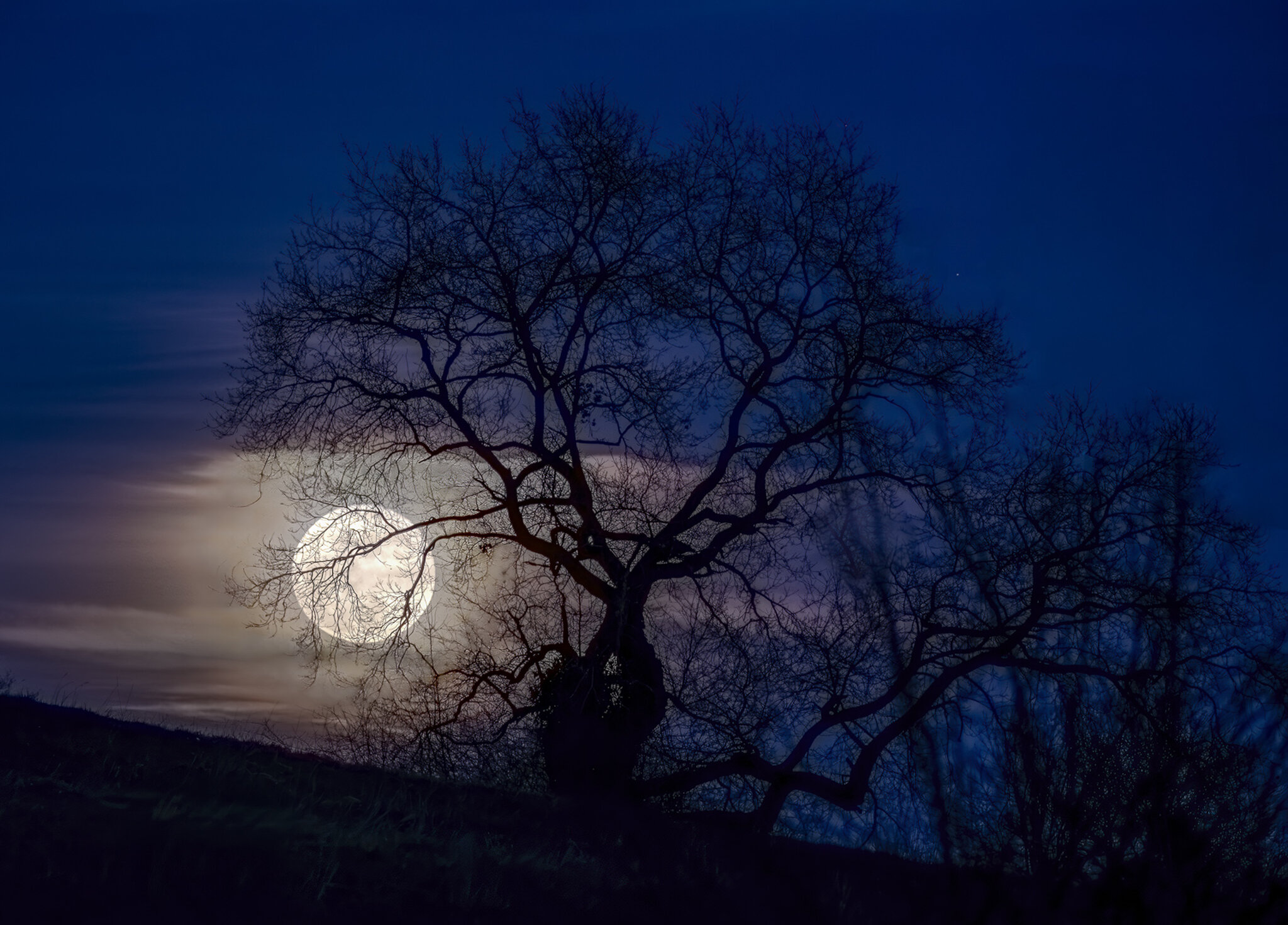 Moonlight-1.jpg